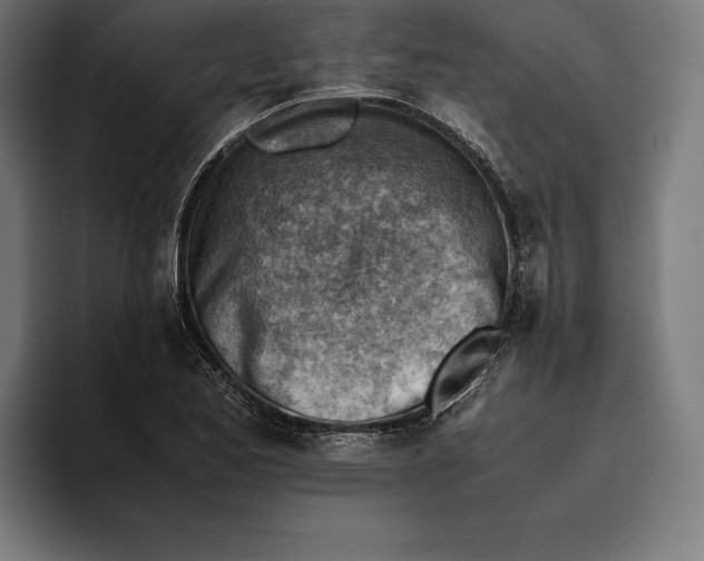 X0000094801173200712071159