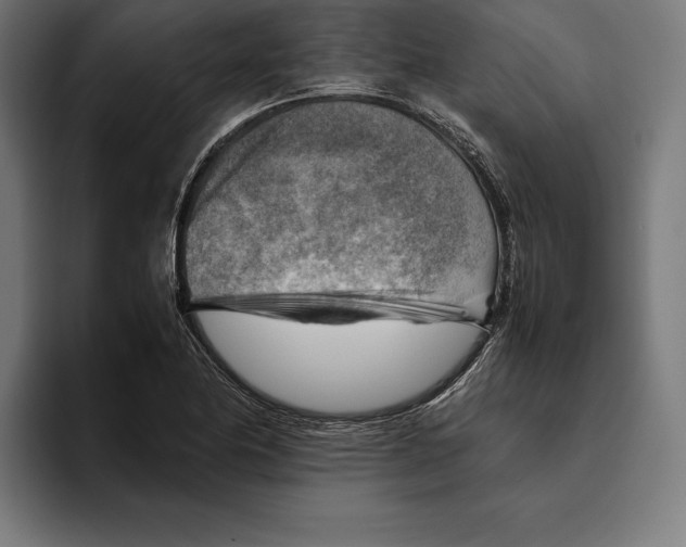 X0000094801174200712071159