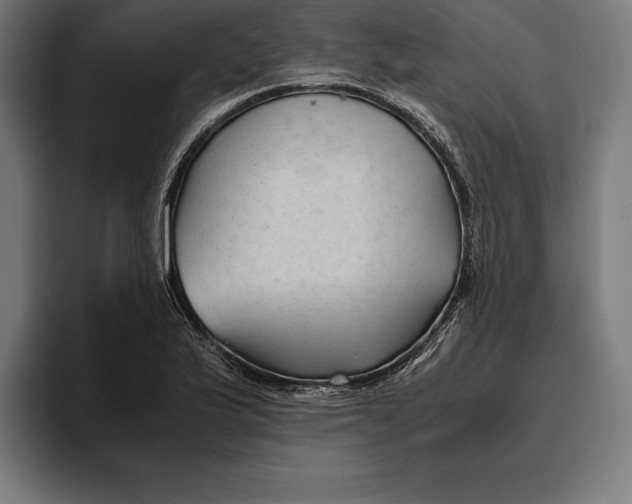 X0000094801175200712071159