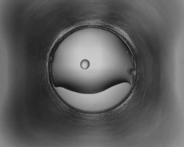 X0000094801176200712071159