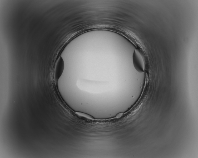 X0000094801177200712071159