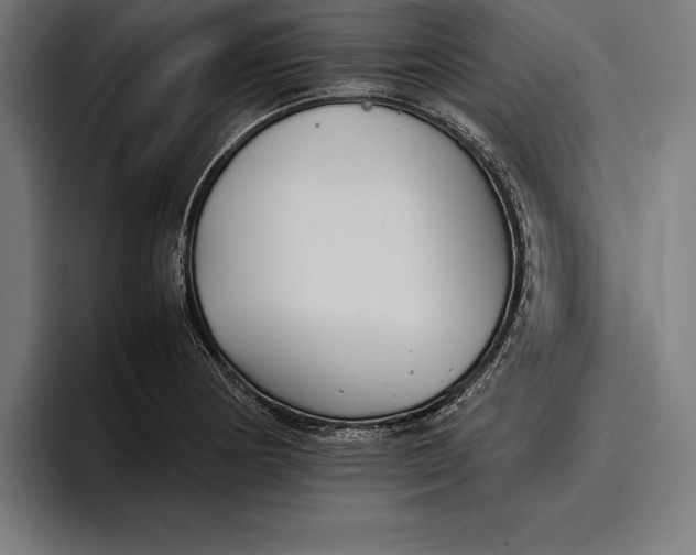 X0000094801178200712071159