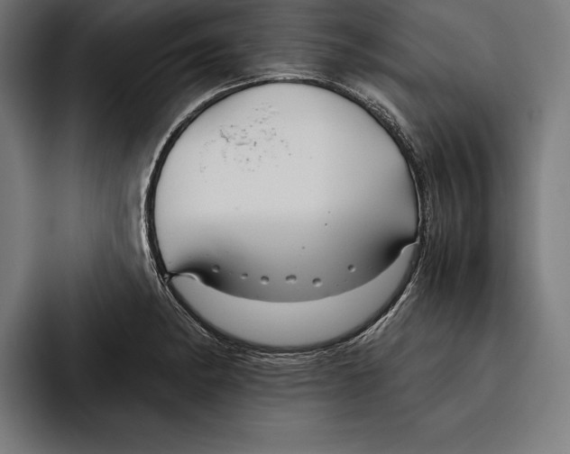 X0000094801182200712071159