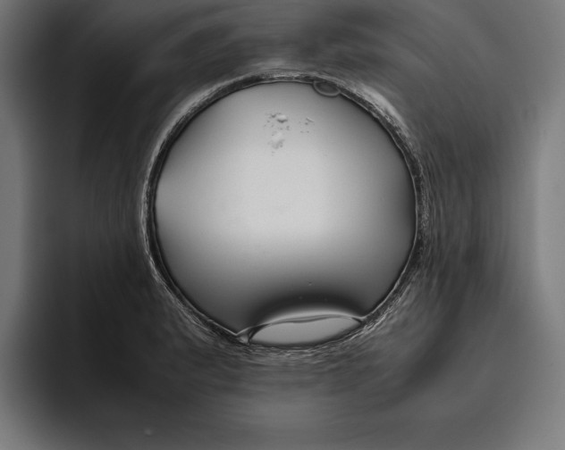 X0000094801183200712071159