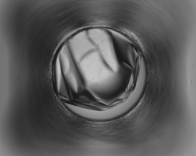 X0000094801184200712071159