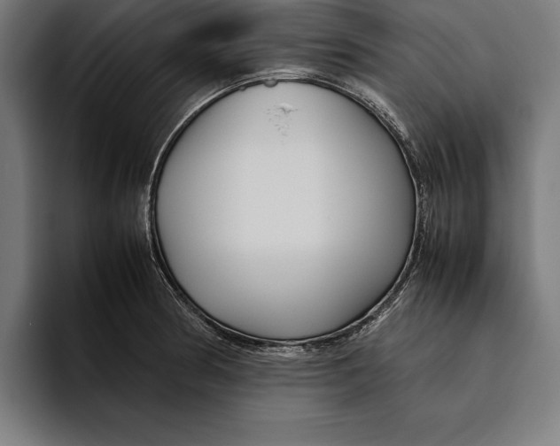 X0000094801186200712071159