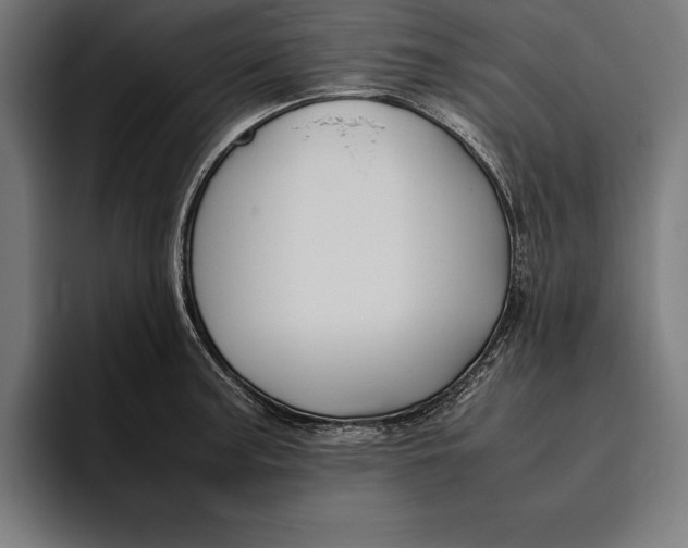 X0000094801187200712071159