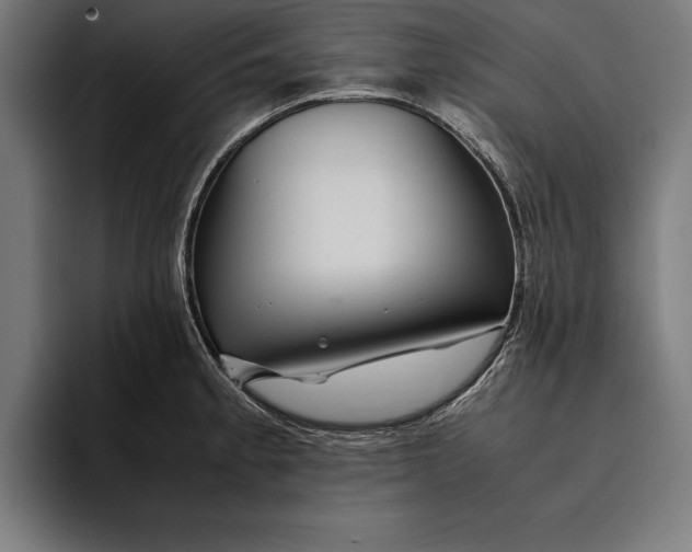 X0000094801189200712071159