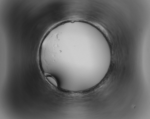 X0000094801191200712071159