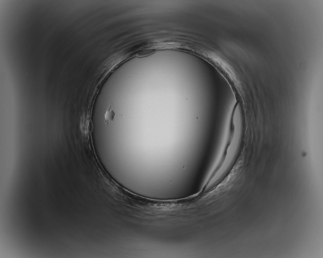 X0000094801193200712071159