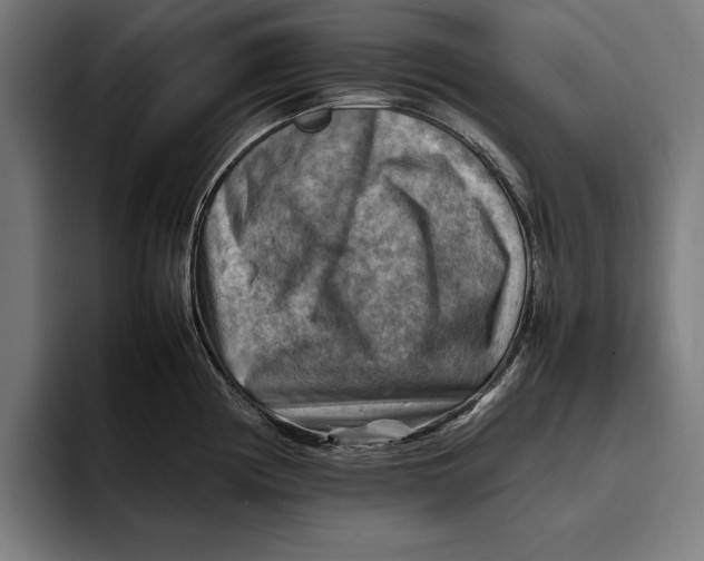 X0000094801194200712071159