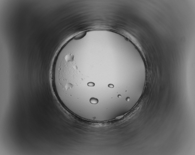 X0000094801195200712071159