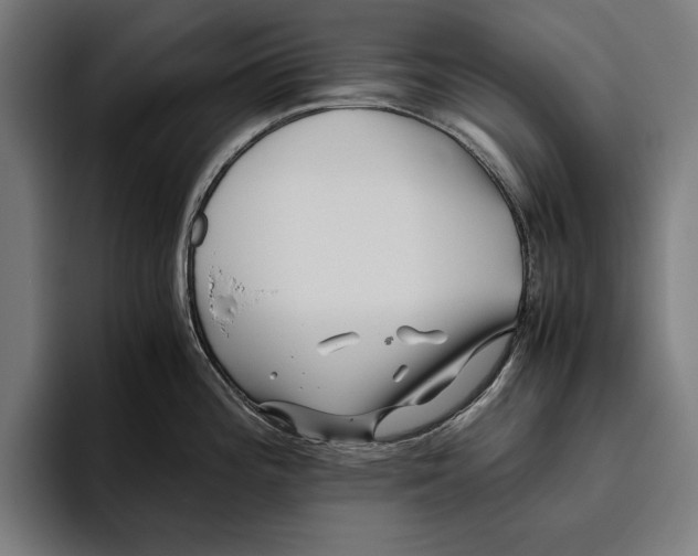 X0000094801196200712071159