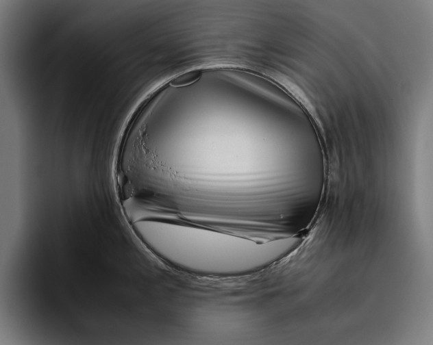 X0000094801197200712071159