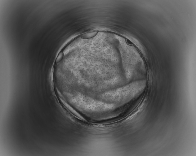 X0000094801198200712071159