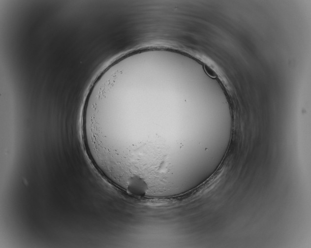 X0000094801199200712071159