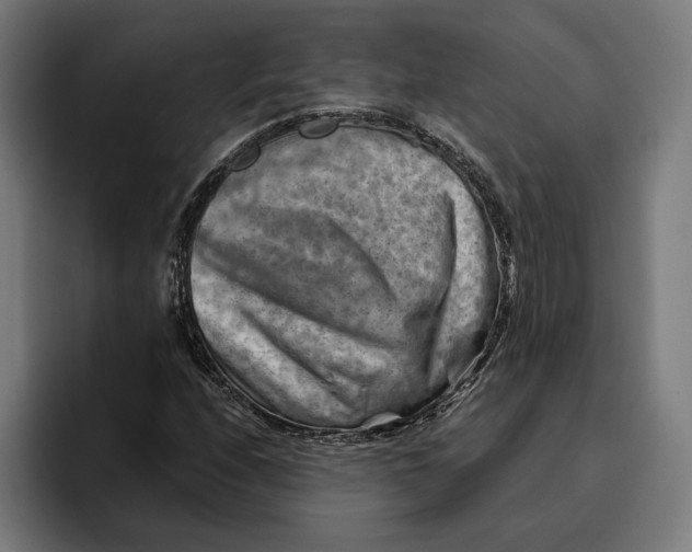 X0000094801208200712071158