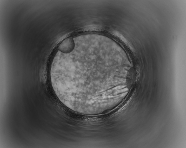 X0000094801213200712071158