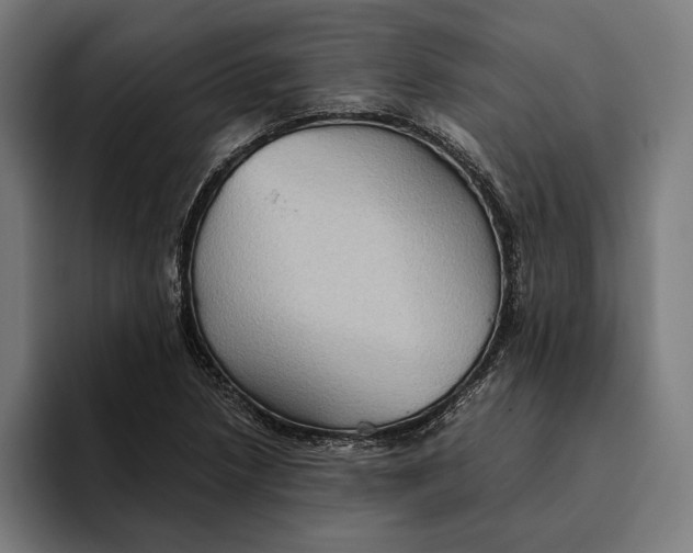 X0000094801218200712071158