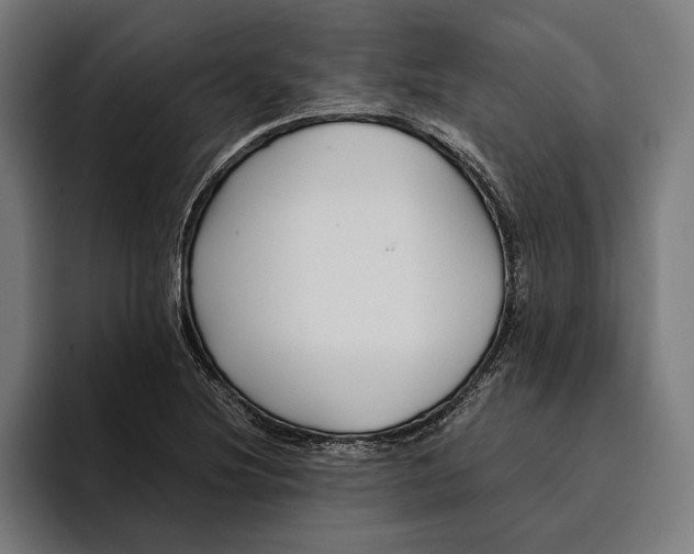 X0000094801220200712071159