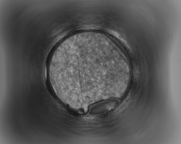 X0000094801221200712071159