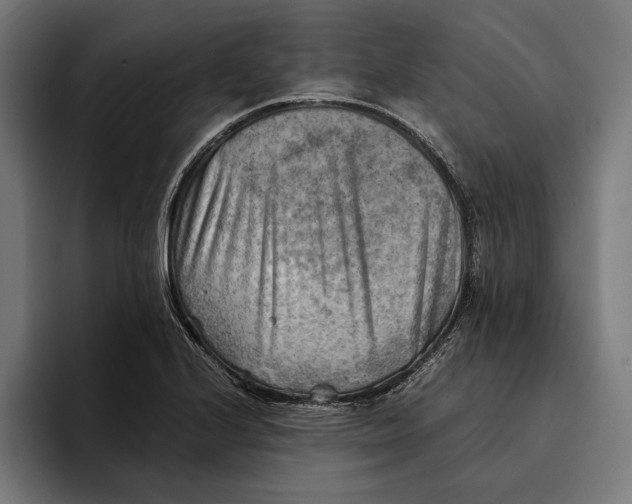 X0000094801224200712071159