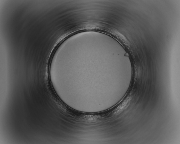 X0000094801226200712071159