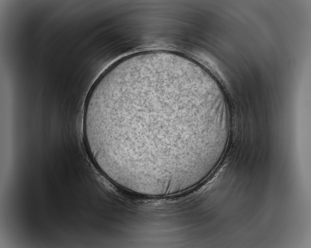 X0000094801228200712071159