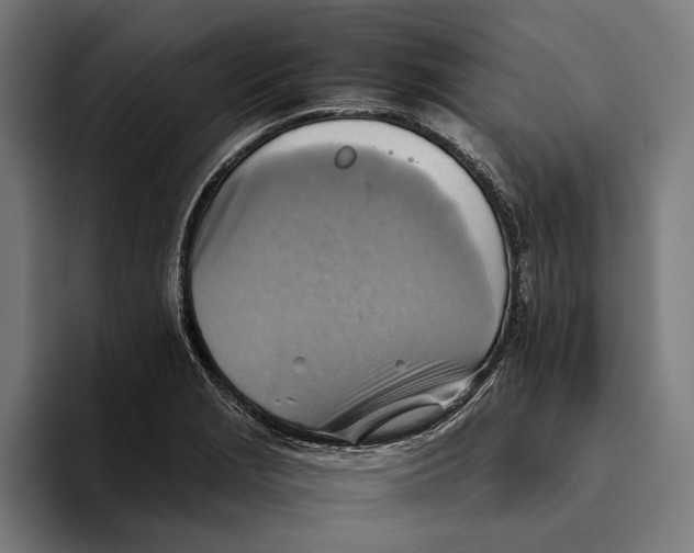 X0000094801229200712071159