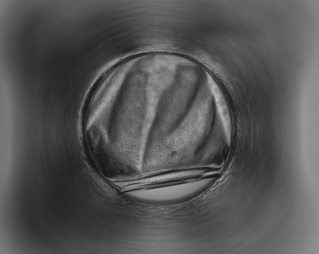 X0000094801230200712071159