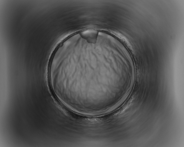 X0000094801231200712071159