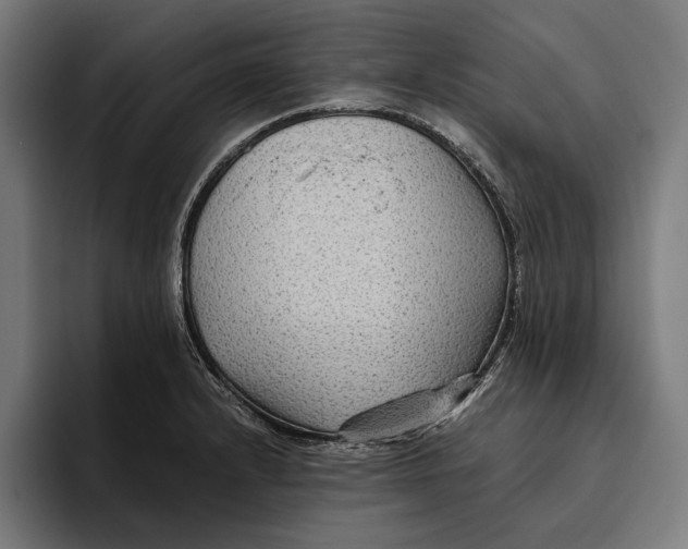 X0000094801232200712071159