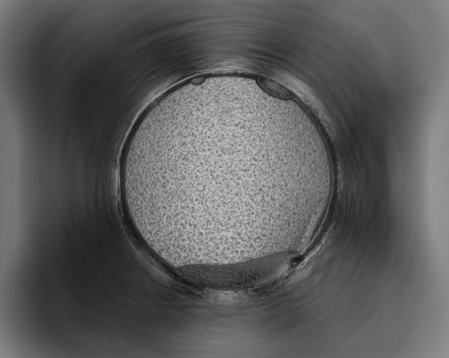 X0000094801234200712071159