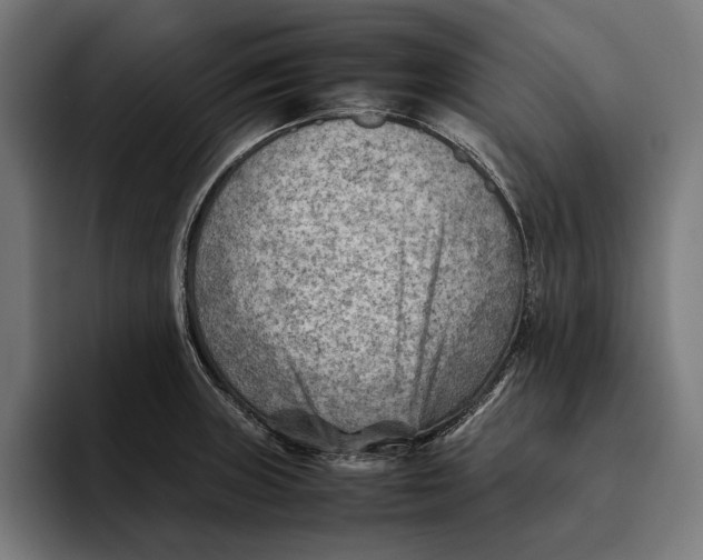 X0000094801235200712071159