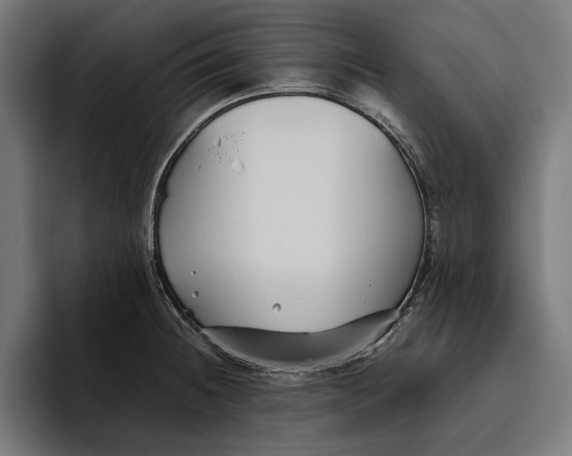 X0000094801236200712071159