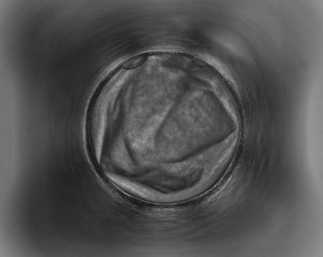 X0000094801237200712071159