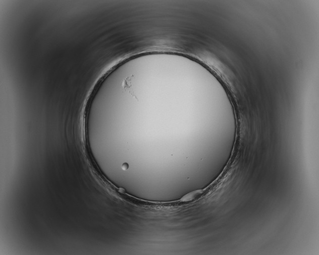 X0000094801238200712071159