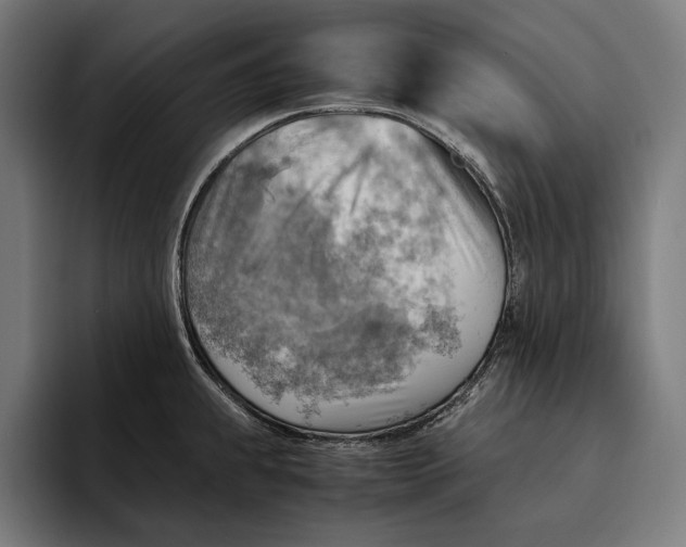 X0000094801239200712071159