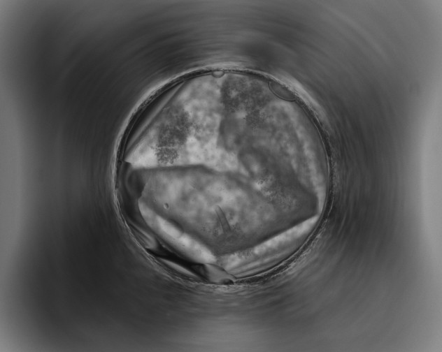 X0000094801240200712071159