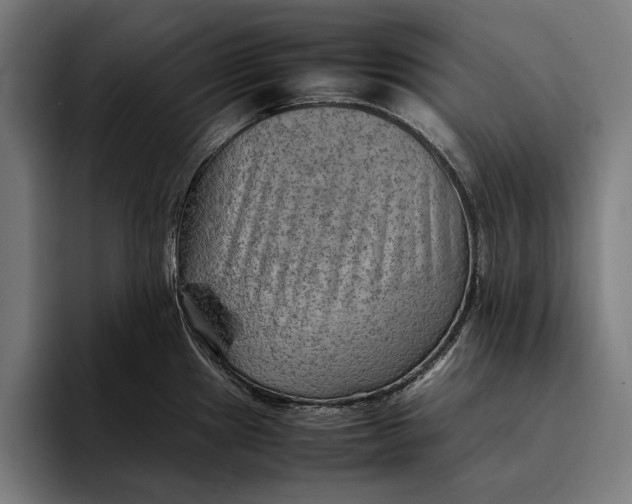 X0000094801241200712071159