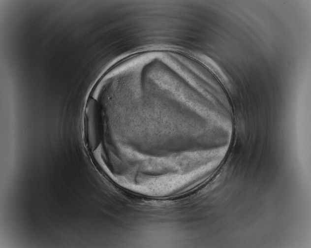 X0000094801244200712071159