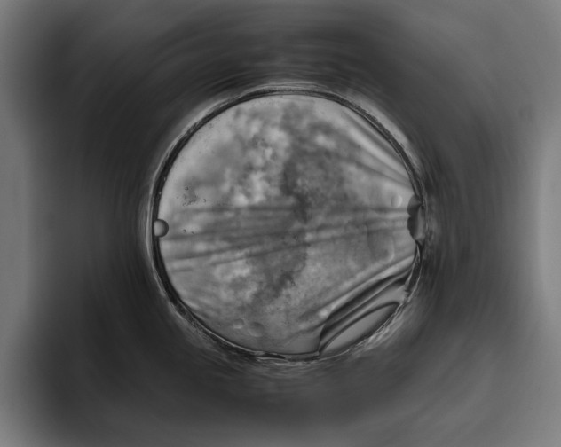 X0000094801245200712071159