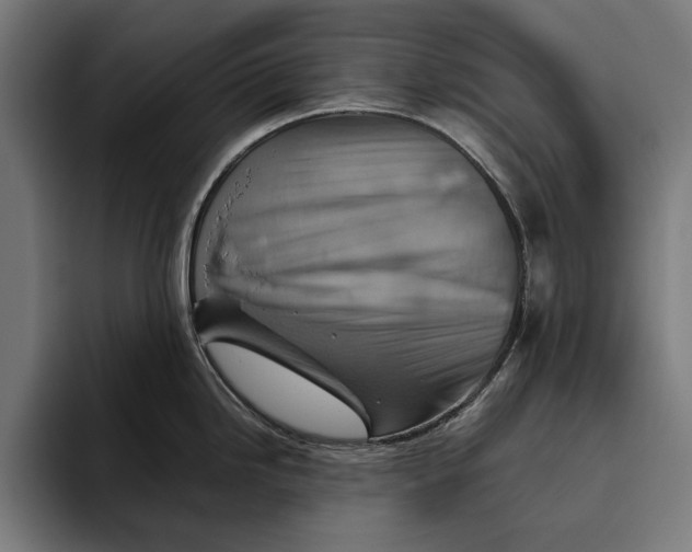 X0000094801246200712071159