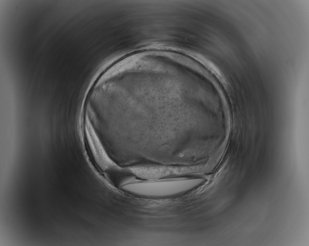 X0000094801247200712071159