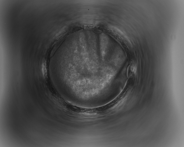 X0000094801252200712071158