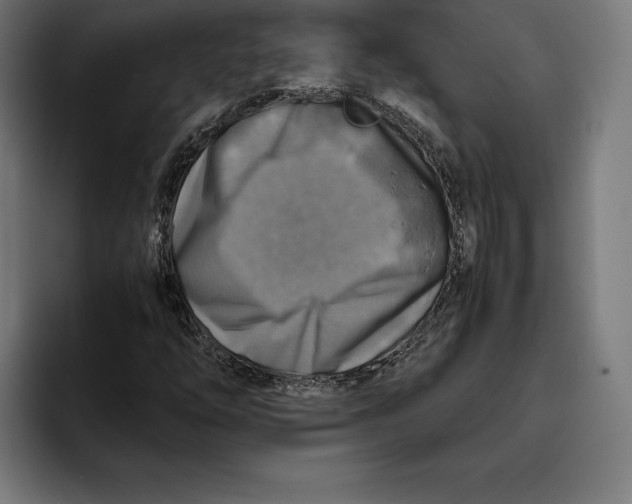 X0000094801254200712071158