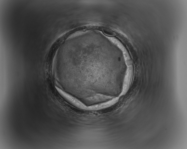 X0000094801255200712071158