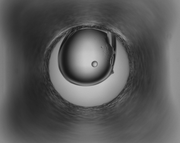 X0000094801256200712071158