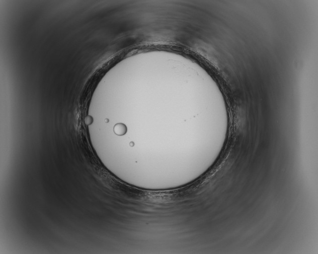 X0000094801258200712071158