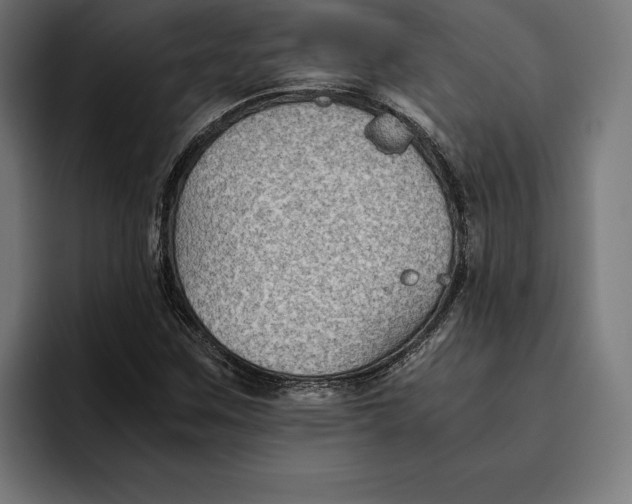 X0000094801259200712071158